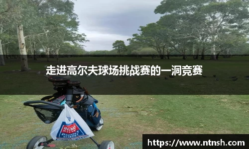 完美真人官网